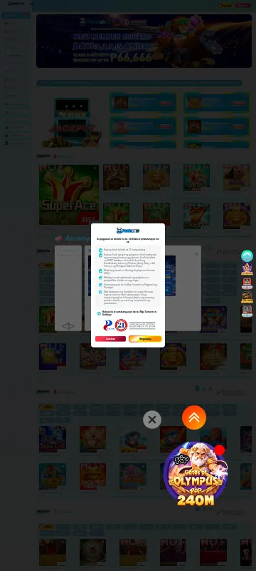 Panda Casino mobile platform interface
